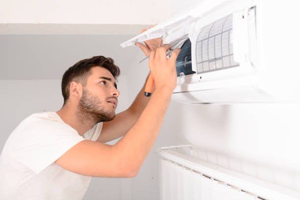 Best Air Duct Mold Removal  in Burkesville, KY